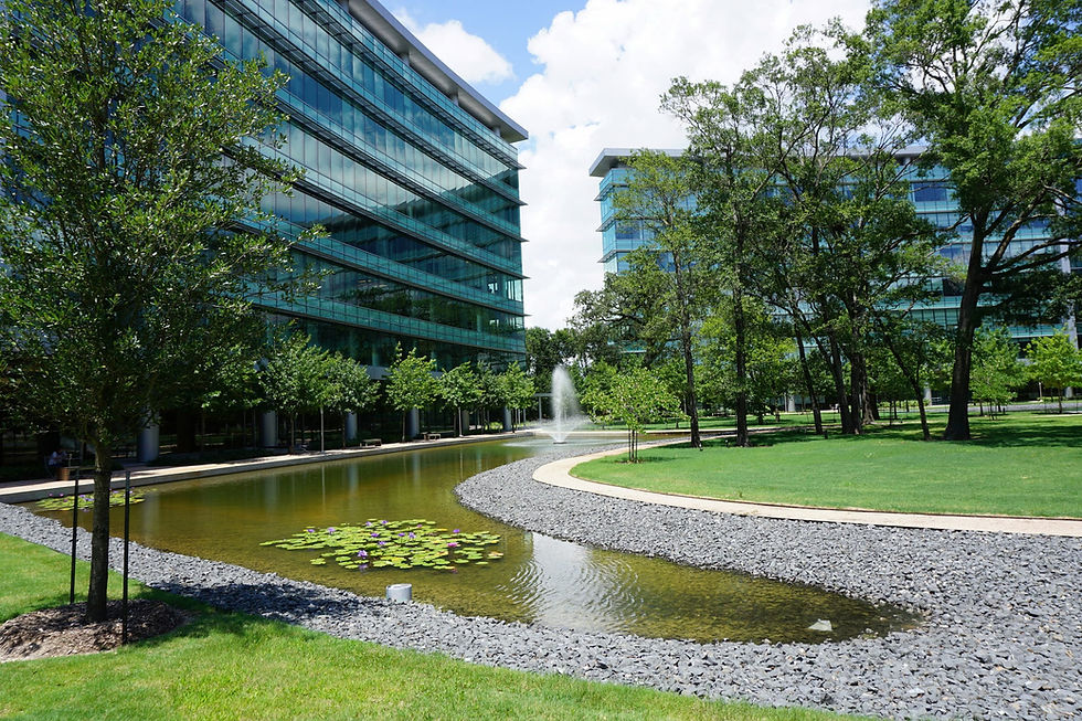 central-park.jpg